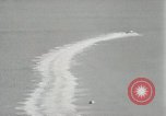 Image of Gar Wood speedboat record Miami Beach Florida USA, 1931, second 24 stock footage video 65675023634