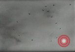 Standbild Aviation Tag Sowjetunion, 1958, aus Sekunde 21 historischem Filmmaterial Videoclip 65675023638