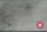 Standbild Aviation Tag Sowjetunion, 1958, aus Sekunde 22 historischem Filmmaterial Videoclip 65675023638