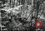 Image Bataille de la Russie la Russie, 1941, de la seconde 9 séquences d'archives historiques vidéo 65675023656