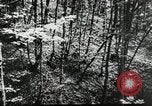 Image Bataille de la Russie la Russie, 1941, de la seconde 10 séquences d'archives historiques vidéo 65675023656