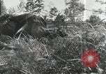 Image Bataille de la Russie la Russie, 1941, de la seconde 56 séquences d'archives historiques vidéo 65675023656