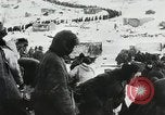 Image of Germans surrender during Battle of Stalingrad Stalingrad Russia Soviet Union, 1943, second 40 stock footage video 65675023659