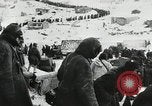 Image of Germans surrender during Battle of Stalingrad Stalingrad Russia Soviet Union, 1943, second 41 stock footage video 65675023659
