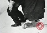 Image of Germans surrender during Battle of Stalingrad Stalingrad Russia Soviet Union, 1943, second 51 stock footage video 65675023659