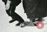 Image of Germans surrender during Battle of Stalingrad Stalingrad Russia Soviet Union, 1943, second 52 stock footage video 65675023659