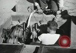 Image of V-2 Rocket White Sands New Mexico USA, 1947, second 17 stock footage video 65675023662