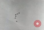 Image Bataille de débarquements de Tarawa Tarawa Îles Gilbert, 1943, de la seconde 3 séquences d'archives historiques vidéo 65675023678