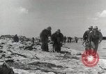 Image of Battle of Tarawa Tarawa Gilbert Islands, 1943, second 28 stock footage video 65675023679