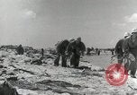 Image of Battle of Tarawa Tarawa Gilbert Islands, 1943, second 29 stock footage video 65675023679