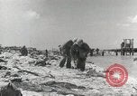 Image of Battle of Tarawa Tarawa Gilbert Islands, 1943, second 31 stock footage video 65675023679