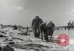 Image of Battle of Tarawa Tarawa Gilbert Islands, 1943, second 35 stock footage video 65675023679