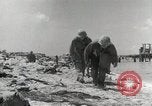 Image of Battle of Tarawa Tarawa Gilbert Islands, 1943, second 36 stock footage video 65675023679