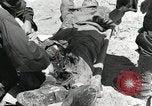 Image of wounded US soldiers at Tarawa Gilbert Islands, 1943, second 59 stock footage video 65675023681