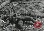 Standbild Unfall während der Schlacht von Tarawa Gilbert Inseln, 1943, aus Sekunde 11 historischem Filmmaterial Videoclip 65675023683