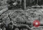 Standbild Unfall während der Schlacht von Tarawa Gilbert Inseln, 1943, aus Sekunde 12 historischem Filmmaterial Videoclip 65675023683