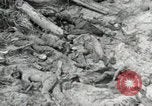 Standbild Unfall während der Schlacht von Tarawa Gilbert Inseln, 1943, aus Sekunde 17 historischem Filmmaterial Videoclip 65675023683