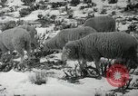 Image peuple Navajo United States USA, 1938, de la seconde 25 séquences d'archives historiques vidéo 65675023686