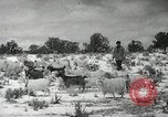 Image peuple Navajo United States USA, 1938, de la seconde 27 séquences d'archives historiques vidéo 65675023686
