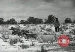 Image peuple Navajo United States USA, 1938, de la seconde 28 séquences d'archives historiques vidéo 65675023686