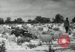 Image peuple Navajo United States USA, 1938, de la seconde 29 séquences d'archives historiques vidéo 65675023686