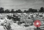 Image peuple Navajo United States USA, 1938, de la seconde 30 séquences d'archives historiques vidéo 65675023686