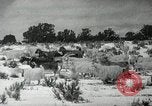 Image peuple Navajo United States USA, 1938, de la seconde 32 séquences d'archives historiques vidéo 65675023686