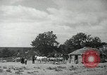 Image peuple Navajo United States USA, 1938, de la seconde 47 séquences d'archives historiques vidéo 65675023686