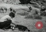 Image of Navajo people's lifestyle United States USA, 1938, second 1 stock footage video 65675023688