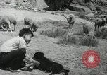 Image of Navajo people's lifestyle United States USA, 1938, second 3 stock footage video 65675023688