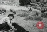 Image of Navajo people's lifestyle United States USA, 1938, second 4 stock footage video 65675023688