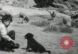Image of Navajo people's lifestyle United States USA, 1938, second 5 stock footage video 65675023688