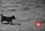 Image of Navajo people's lifestyle United States USA, 1938, second 12 stock footage video 65675023688