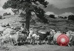 Image of Navajo people's lifestyle United States USA, 1938, second 16 stock footage video 65675023688