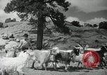 Image of Navajo people's lifestyle United States USA, 1938, second 17 stock footage video 65675023688