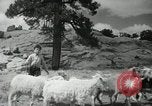 Image of Navajo people's lifestyle United States USA, 1938, second 18 stock footage video 65675023688