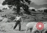 Image of Navajo people's lifestyle United States USA, 1938, second 19 stock footage video 65675023688