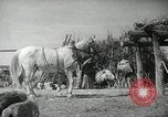 Image of Navajo people's lifestyle United States USA, 1938, second 29 stock footage video 65675023688