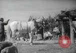 Image of Navajo people's lifestyle United States USA, 1938, second 30 stock footage video 65675023688