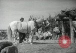 Image of Navajo people's lifestyle United States USA, 1938, second 31 stock footage video 65675023688