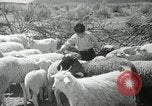 Image of Navajo people's lifestyle United States USA, 1938, second 32 stock footage video 65675023688