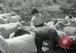 Image of Navajo people's lifestyle United States USA, 1938, second 33 stock footage video 65675023688