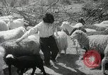 Image of Navajo people's lifestyle United States USA, 1938, second 34 stock footage video 65675023688
