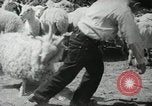 Image of Navajo people's lifestyle United States USA, 1938, second 35 stock footage video 65675023688