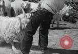Image of Navajo people's lifestyle United States USA, 1938, second 36 stock footage video 65675023688