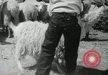 Image of Navajo people's lifestyle United States USA, 1938, second 37 stock footage video 65675023688