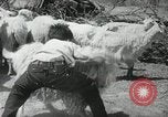 Image of Navajo people's lifestyle United States USA, 1938, second 38 stock footage video 65675023688