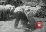 Image of Navajo people's lifestyle United States USA, 1938, second 40 stock footage video 65675023688