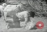 Image of Navajo people's lifestyle United States USA, 1938, second 42 stock footage video 65675023688