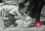 Image of Navajo people's lifestyle United States USA, 1938, second 43 stock footage video 65675023688